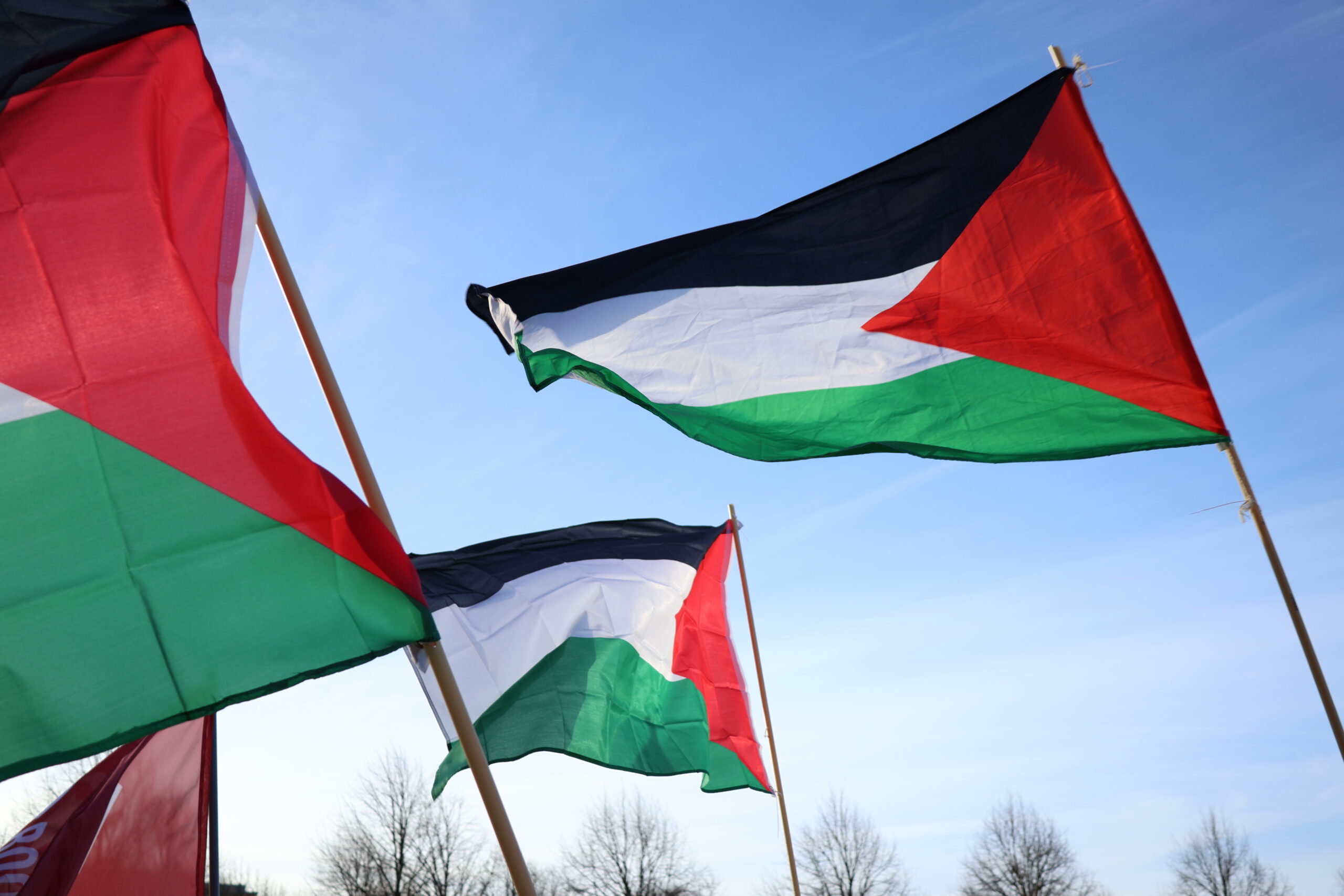 Controlled opposition in Palestina